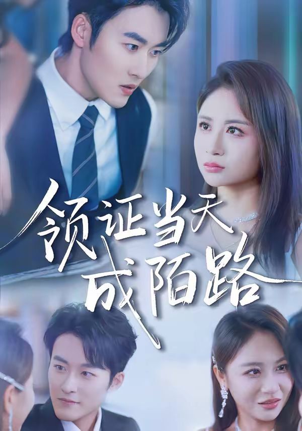 领证当天成陌路